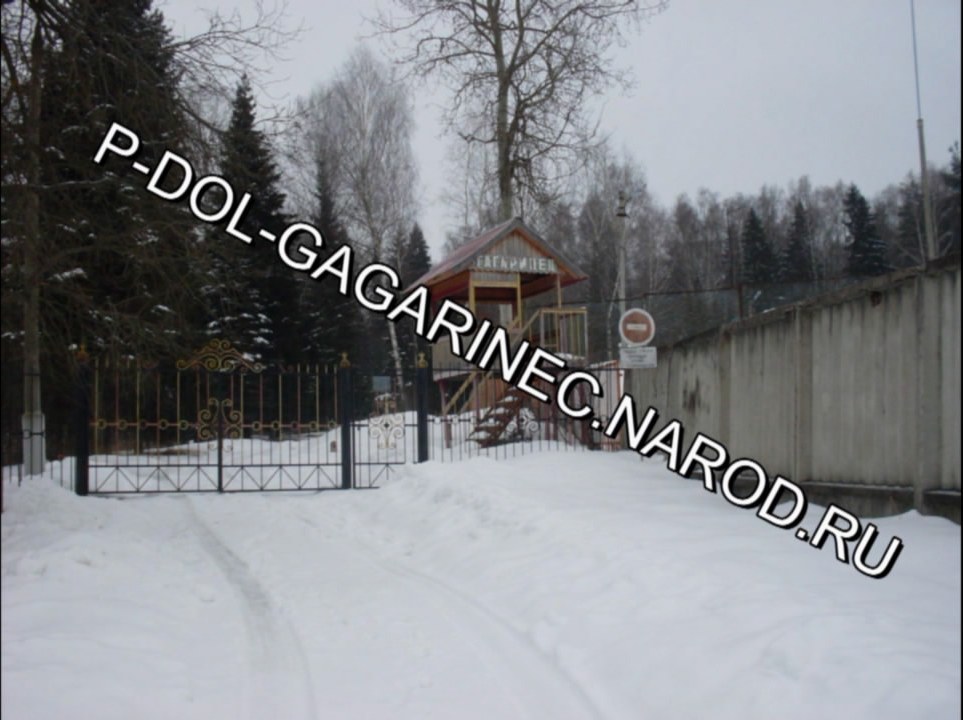 ПИОНЕРСКИЙ,ЛАГЕРЬ,ПЛ,ГАГАРИНЕЦ,КЛИН,ШИРЯЕВО,ЗУБОВО,КЛИНСКИЙ,РАЙОН